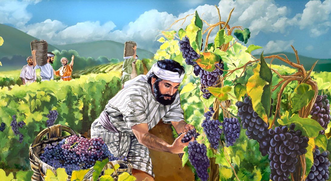 Притча о винограднике и виноградарях