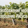 Преображение через созерцание Иисуса